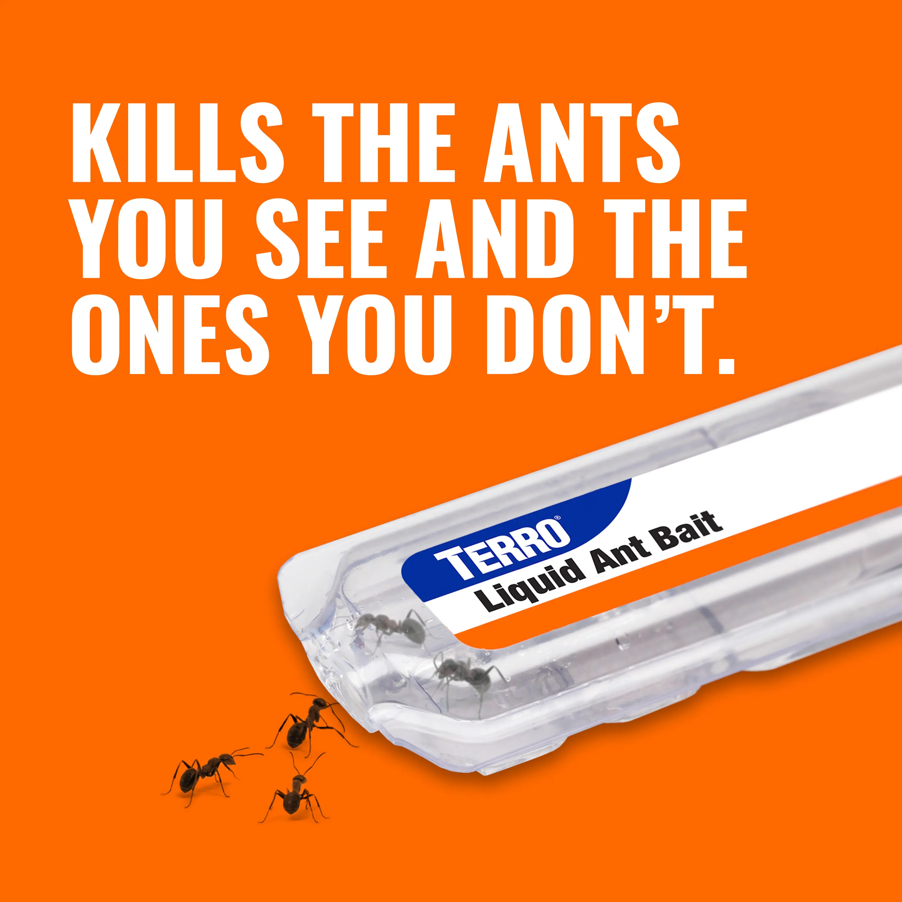 TERRO T300 Liquid Ant Killer Bait Stations – Indoor Ant Control (1–3 Pack)