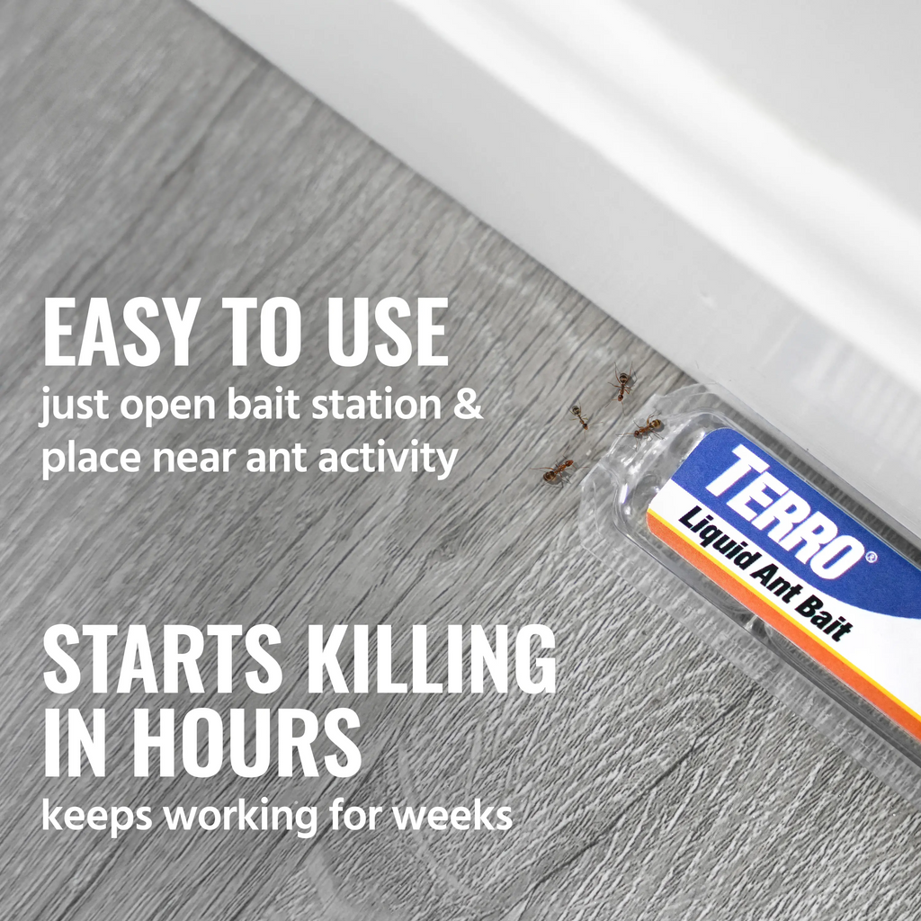 TERRO T300 Liquid Ant Killer Bait Stations – Indoor Ant Control (1–3 Pack)