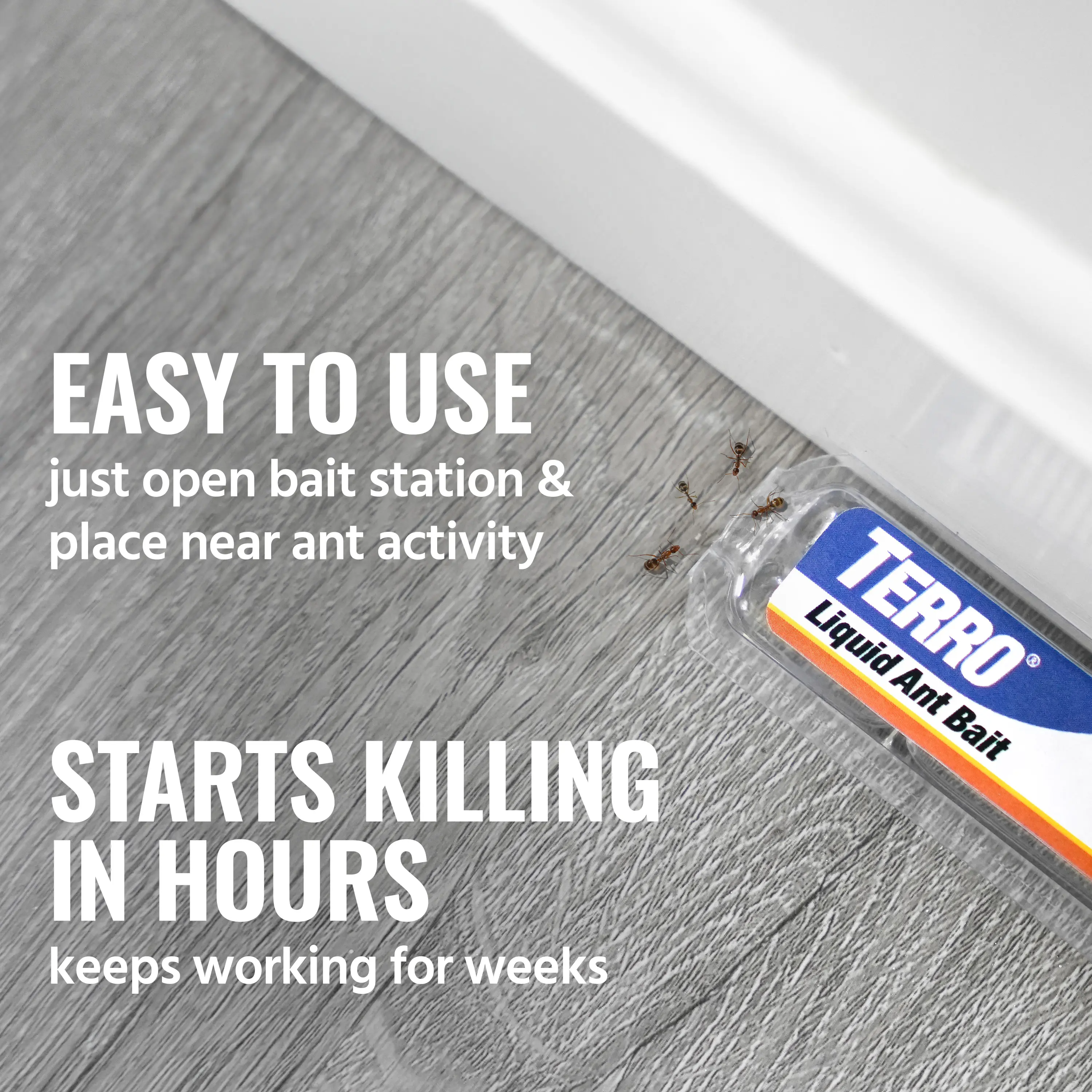 TERRO T300 Liquid Ant Killer Bait Stations – Indoor Ant Control (1–3 Pack)