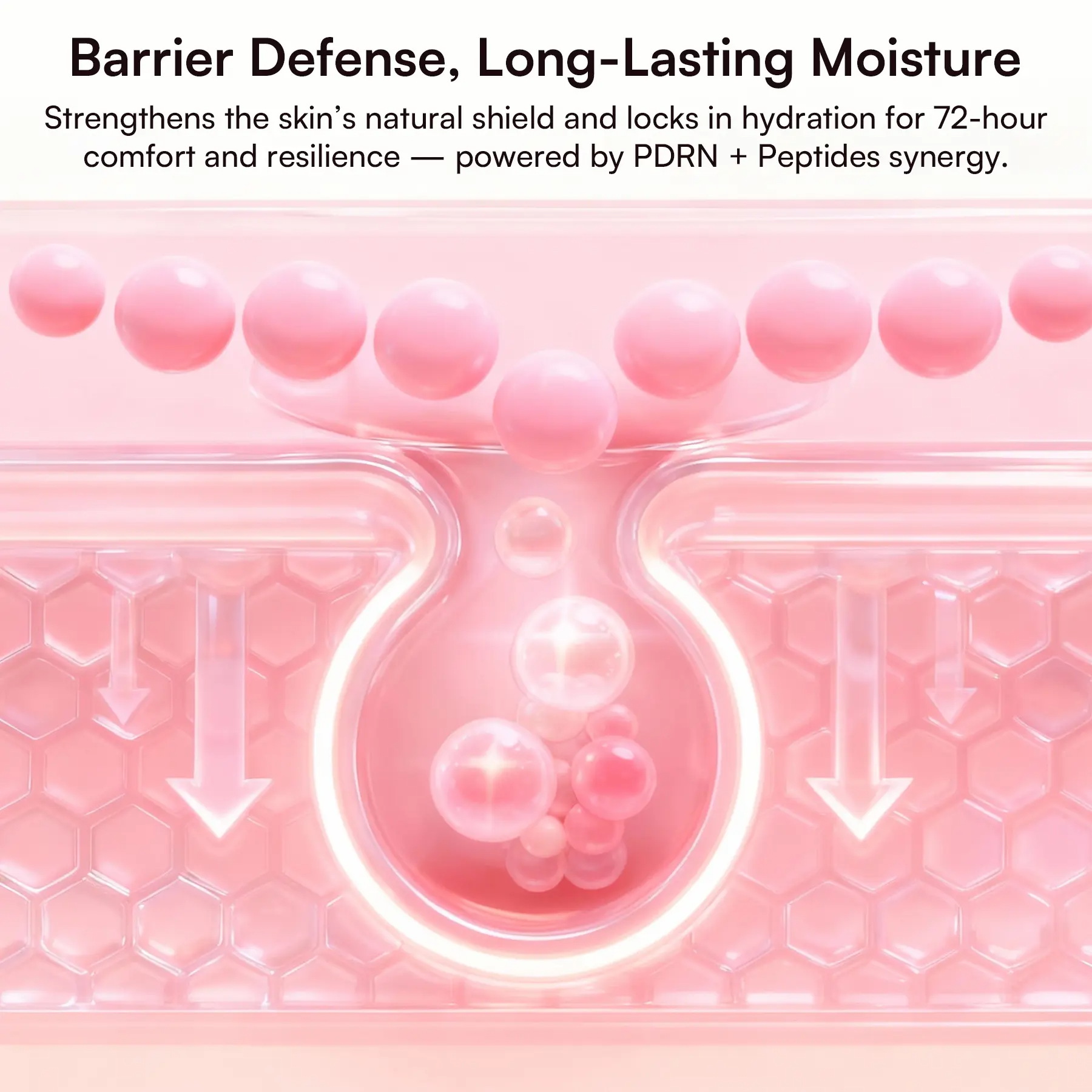 Peptide Repair Bundle