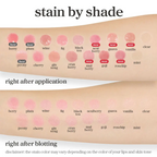 Apple Lip Oil & Lip Stain – Glowing, Tinting & Moisturizing | 16 Shades |  Skincare