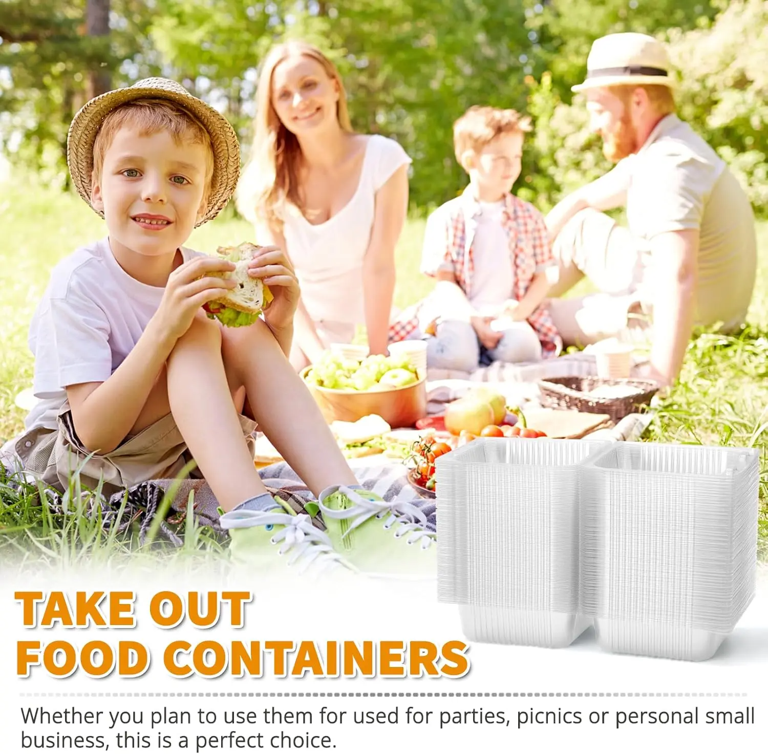 Clear Plastic Food Containers with Hinged Lids
