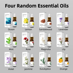 1000ml Humidifier & Essential Oil Diffuser – 7-Color LED, Smoke & Pet Odor Eliminator